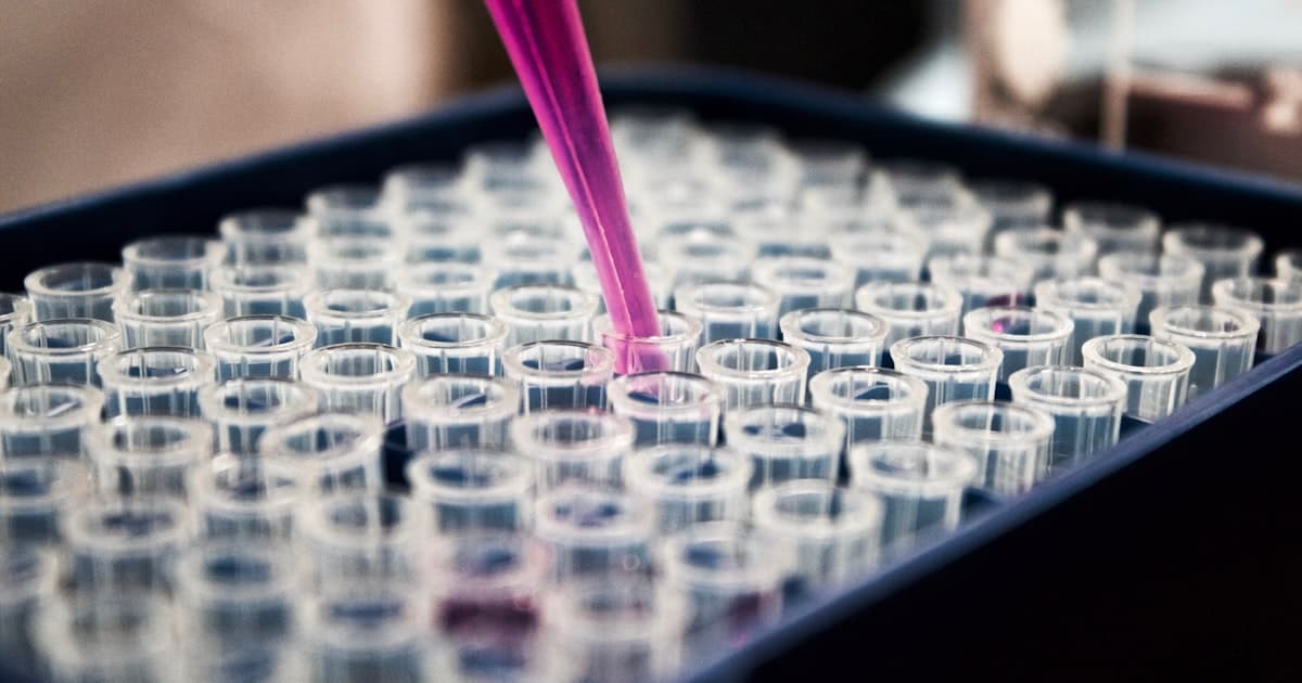 O sistema que ninguém te ensinou: como o sistema endocanabinoide controla sua dor, sono, humor e imunidade